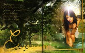 Zoom sur les pages 11-12