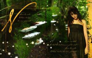 Zoom sur les pages 15-16