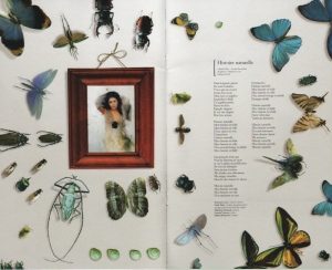 Zoom sur les pages 08-09