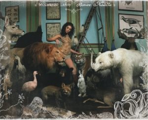 Zoom sur les pages 12-13