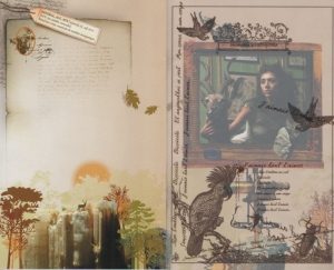 Zoom sur les pages 14-15