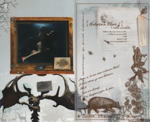 Zoom sur les pages 18-19